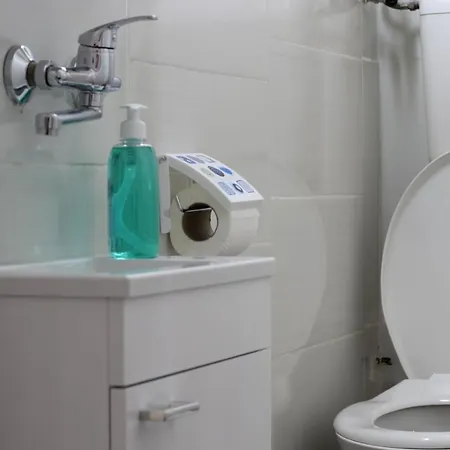 Nikolaj Mirlikiski Novi Sad