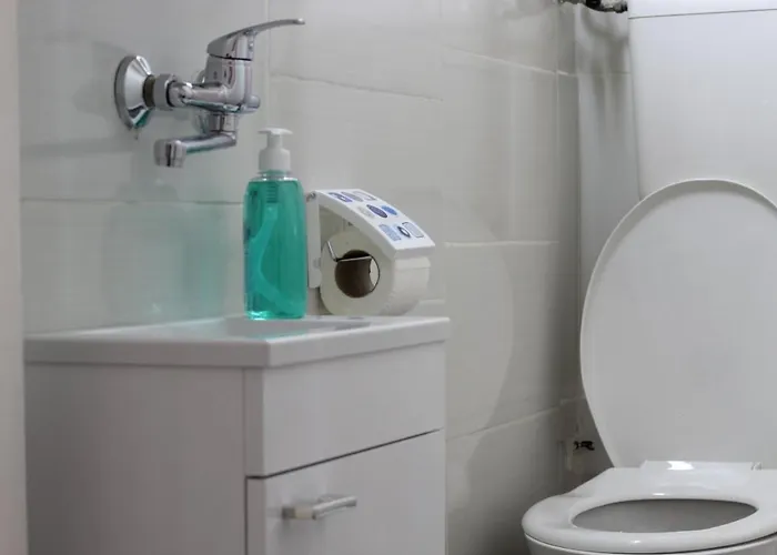 Nikolaj Mirlikiski Novi Sad